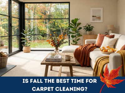 Fall Carpet Cleaning McKinney, TX