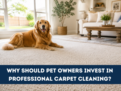 Why Should Pet Owners Invest in Professional Carpet Cleaning