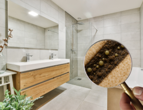 Bathroom Tile dangers: Why you need professional cleaning?