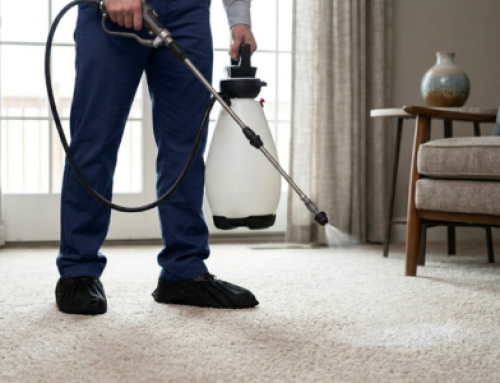 Why Are Water-Based Carpet Cleaning Products Safer for Your Family?