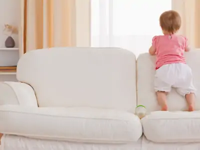 Upholstery Cleaning TX