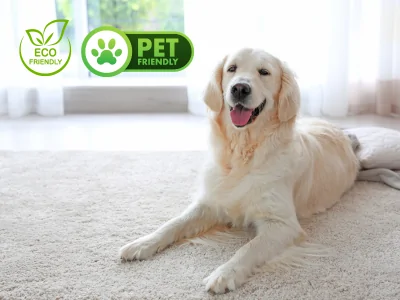 Carpet Cleaning McKinney