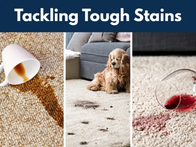 Carpet cleaning tips for coffee, wine, and pet stains