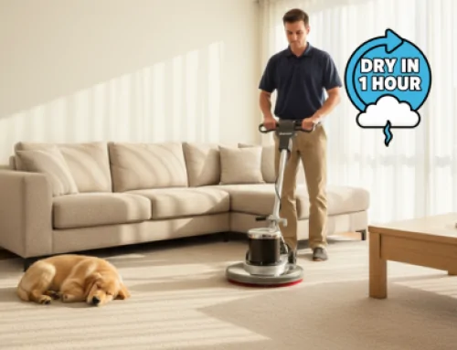 Why low-moisture Carpet Cleaning is the future of home care?