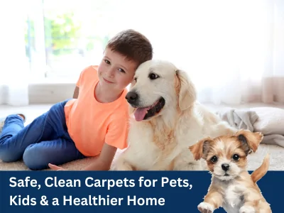 Professional carpet cleaning for pet owners in McKinney