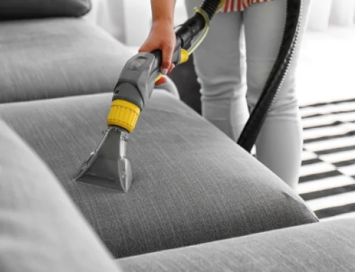 Beyond stains: Removing years of dust, dander, and grime from your furniture